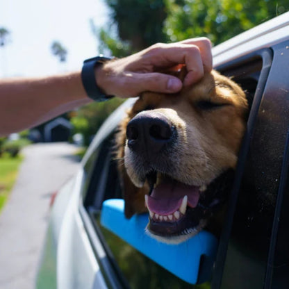 🔥Last Day 49% OFF -Car Window Chin Rest For Dogs