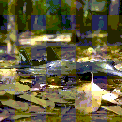 🎉Last day clearance✈️RC Stunt Fighter Jet Toy for Kids with 360° Flips & LED Lights