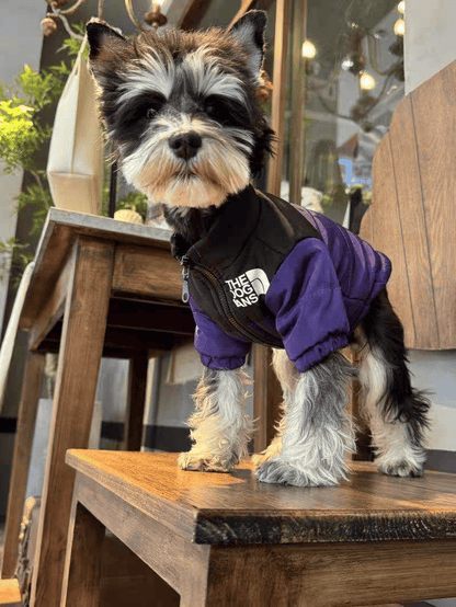 🔥Color-Block Puffer Jacket for Pets - Windproof, Waterproof, Warm & Comfortable