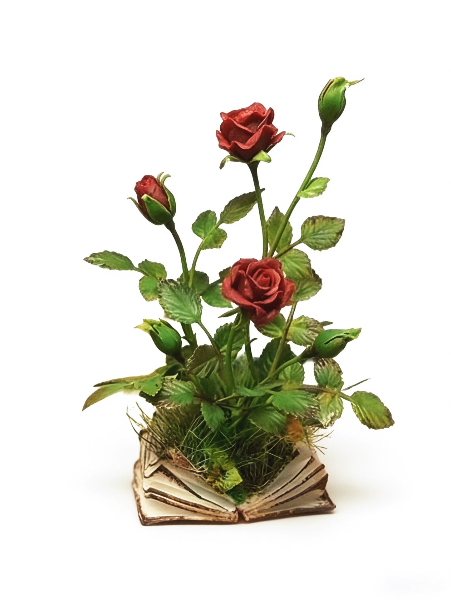 🔥Last Day 50% OFF - 🌹Miniature Rose Growing from Book