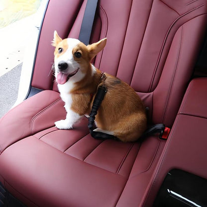 🎁Last Day 49% OFF-🚗🐕🐱Adjustable Pet Car Seat Belt