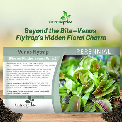 🐜🌸Venus Flytrap: Interactive Bug-Catching Plant with Stunning Floral Charm