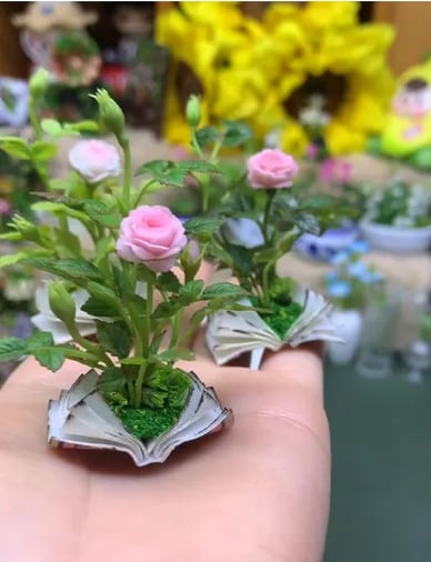 🔥Last Day 50% OFF - 🌹Miniature Rose Growing from Book
