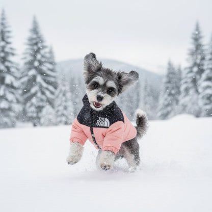🔥Color-Block Puffer Jacket for Pets - Windproof, Waterproof, Warm & Comfortable