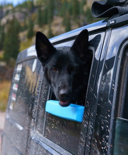 🔥Last Day 49% OFF -Car Window Chin Rest For Dogs