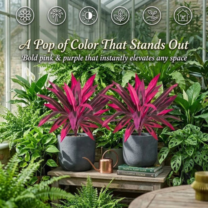🔥 Last Day: Buy One, Get One Free (Total 2 Plants) — Large, Lifelike Artificial Boston Fern & Dragon Tree