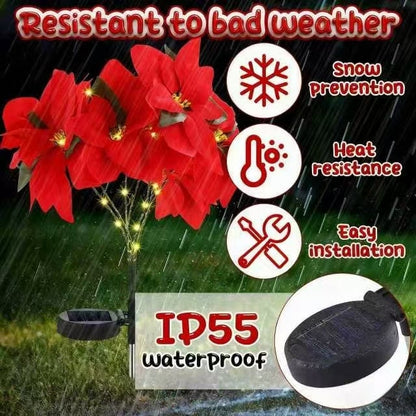 🔥LAST DAY: BUY 3 GET 1 FREE - 🎄Christmas Waterproof Solar Poinsettia Flowers Lights✨