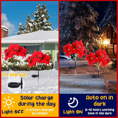 🔥LAST DAY: BUY 3 GET 1 FREE - 🎄Christmas Waterproof Solar Poinsettia Flowers Lights✨