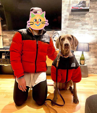 🔥Color-Block Puffer Jacket for Pets - Windproof, Waterproof, Warm & Comfortable