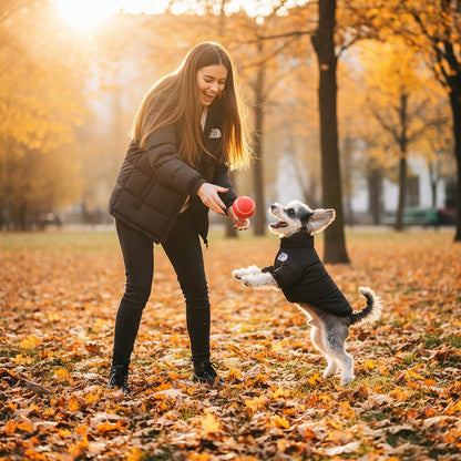 🔥Color-Block Puffer Jacket for Pets - Windproof, Waterproof, Warm & Comfortable