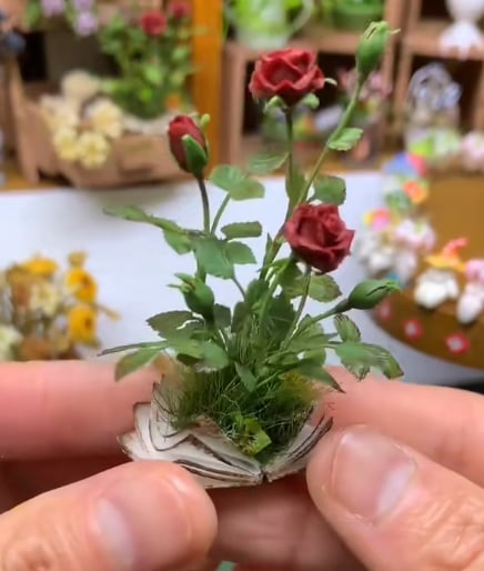 🔥Last Day 50% OFF - 🌹Miniature Rose Growing from Book